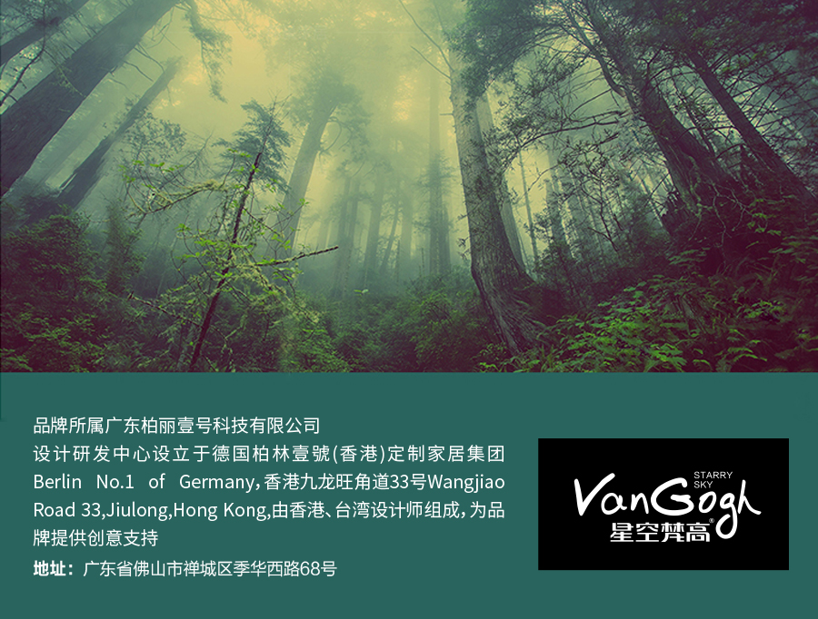 星空梵高 現(xiàn)代簡約雙人床實木床 荷蘭晨風(fēng) TB-109#床